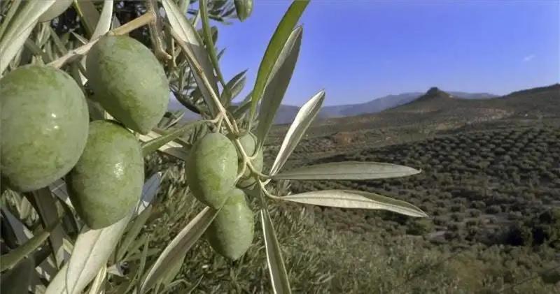 El Convento Vivienda Rural Jaen Andalucia Espana Carchelejo Exteriör bild