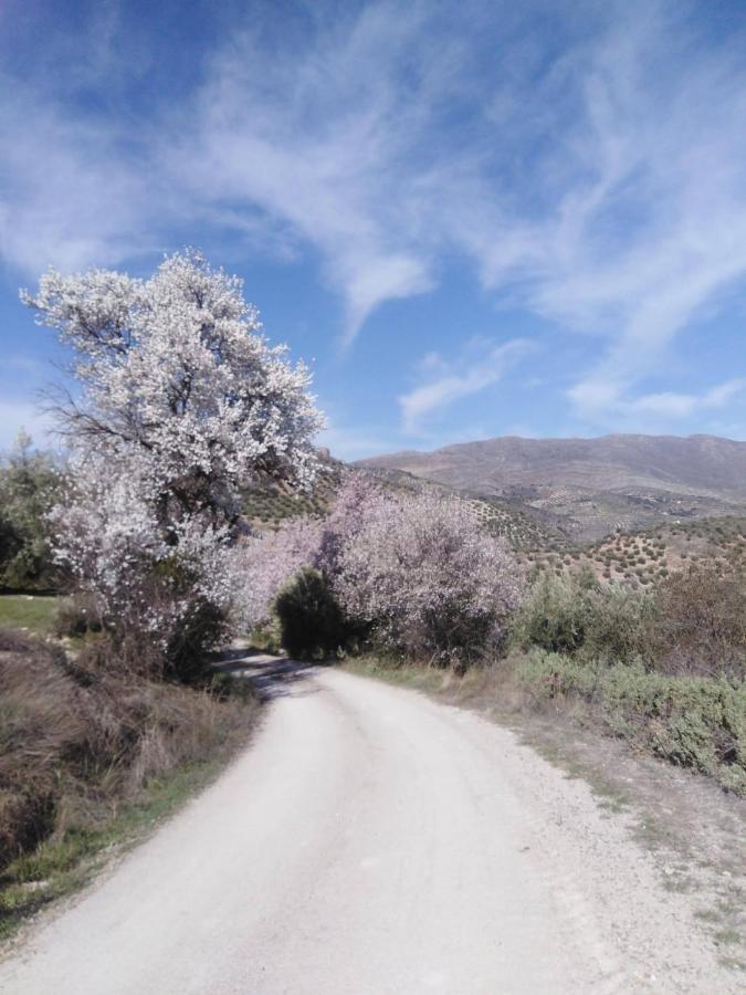El Convento Vivienda Rural Jaen Andalucia Espana Carchelejo Exteriör bild